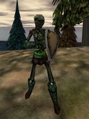 File:Lesser Acolyte (Level 20) Live.jpg
