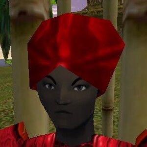 File:Jaleh's Turban Live.jpg