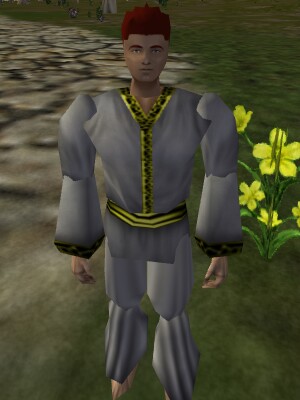 File:Asheron's Lesser Raiment Live.jpg
