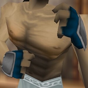 File:Reinforced Shou-jen Shozoku Gauntlets Colban Live.jpg