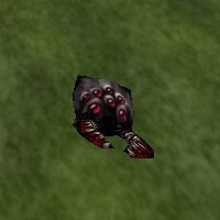 File:Mukkir Head Live.jpg