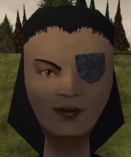 File:Eye Patch Live.jpg