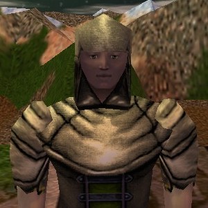 File:Assassin's Cowl Live.jpg