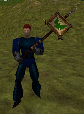 File:Reinforced Falcon Banner with Symbol Live.jpg