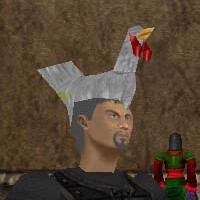 File:Turkey Hat Live.jpg