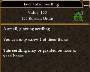 File:Enchanted Seedling.jpg