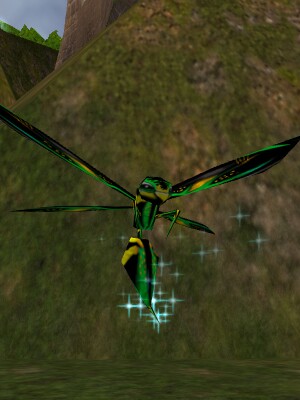 File:Jungle Phyntos Wasp Live.jpg