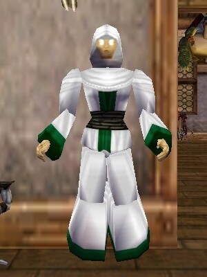 File:Pathwarden Robe (Aluvian) Argenory Live.jpg