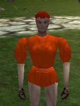 File:Festival Shirt (Orange) Live.jpg