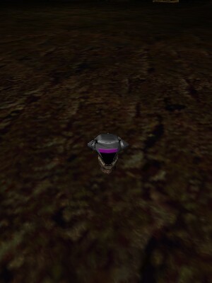 File:Undead Captain's Head Live.jpg
