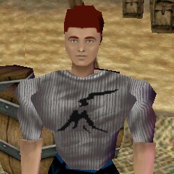 File:Aerlinthe Patron Shirt Live.jpg
