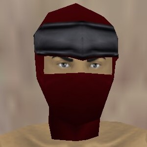 File:Reinforced Shou-jen Shozoku Mask Hennacin Live.jpg