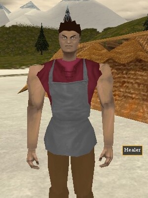 File:Healer (Simda'r) Live.jpg