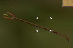File:Oak Stormwood Staff Live.jpg