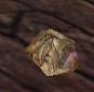 File:Pulsating Bony Lump Live.jpg