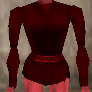 File:Amateur Explorer Shirt Hennacin Live.jpg