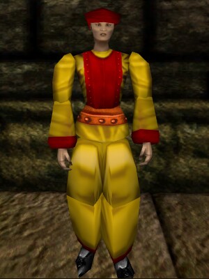 File:Isabelle, Royal Guardian Live.jpg