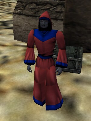 File:Pathwarden Robe (Viamontian) Live.jpg