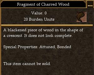 File:Fragment of Charred Wood.jpg