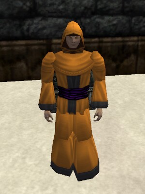 File:Pathwarden Robe (Aluvian) Live.jpg