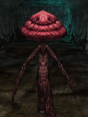 File:Puffball Thrungus Live.jpg