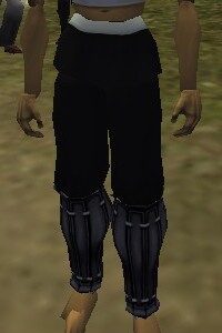 File:Reinforced Shou-jen Shozoku Trousers Live.jpg