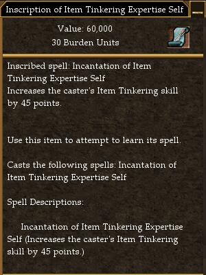File:Inscription of Item Tinkering Expertise Self.jpg