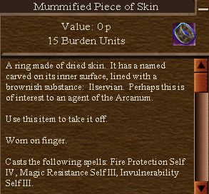 File:Mummified Piece of Skin.jpg