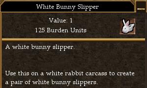 File:White Bunny Slipper.jpg