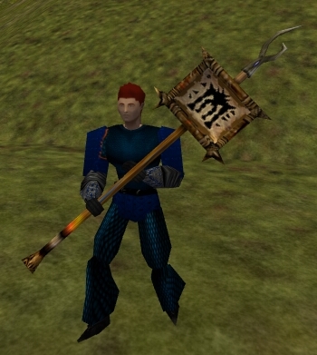 File:Hafted Shreth Banner with Symbol Live.jpg
