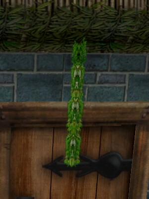 File:Holiday Garland Live.jpg