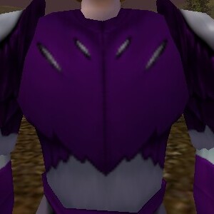 File:Shadow Breastplate (Clouded Spirit) Live.jpg