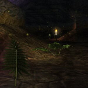 File:Winthura's Garden Live 2.jpg