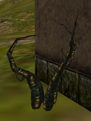 File:Pack T'thuun Live.jpg