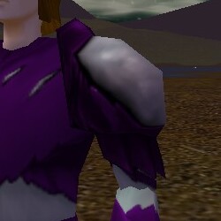 File:Shadow Pauldrons (Clouded Spirit) Live.jpg