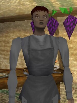 File:Shopkeeper Yasiya Live.jpg