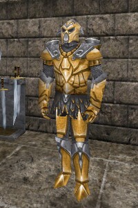 File:Guard Liaza Live.jpg