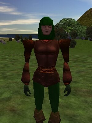 File:Maere the Dyepot Peddlar Live.jpg