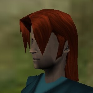 File:Haircut Dark Male 2 Texture Live.jpg