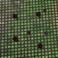 File:Tactics Invisible Grid Live.jpg