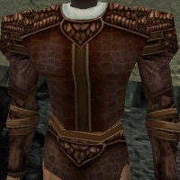 File:Armoredillo Hide Coat Live.jpg