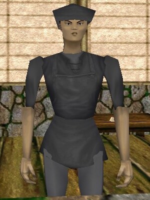 File:Denki Sokuto the Scribe Live.jpg