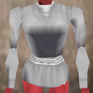 File:Amateur Explorer Shirt Argenory Live.jpg