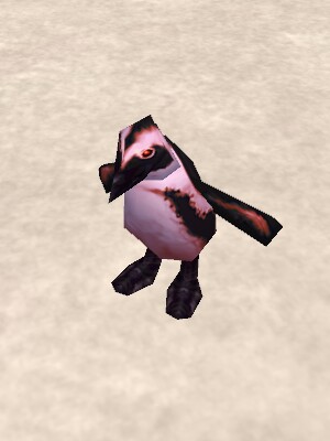 File:Rebellious Penguin Live.jpg