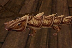 File:Pet Armoredillo Pup Live.jpg