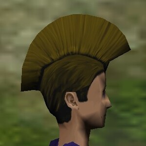 File:Haircut Skin 14 Texture Live.jpg