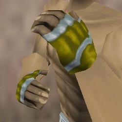 File:Olthoi Gauntlets Berimphur Live.jpg