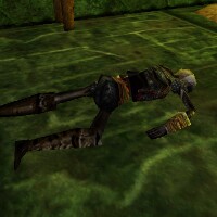 File:Prison Guard's Corpse Live.jpg