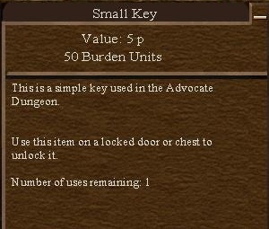 File:Small Key.jpg