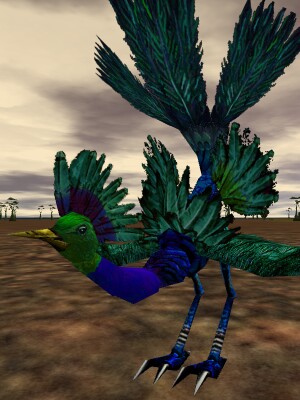 File:Untamed Siraluun Live.jpg